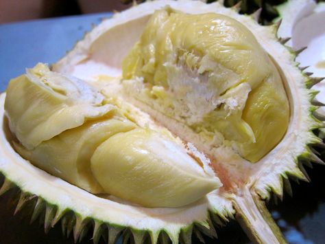 Recipe Storage, Durian Fruit, Protein Fruit, Cambodia Travel, Fruit Tree, Exotic Fruit, Dining And Kitchen, Fruits And Veggies, Fruit Trees