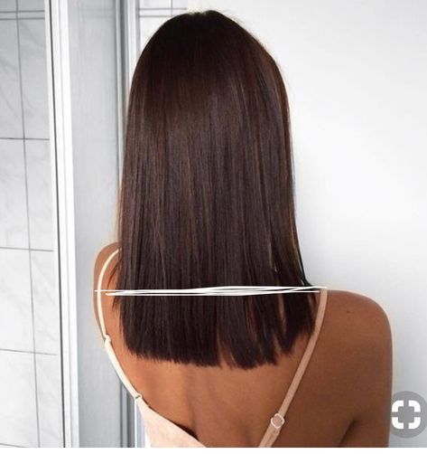 Platinový Blond, Rambut Brunette, Brown Hair Shades, Short Straight Hair, Haircuts Straight Hair, Short Hair Haircuts, Medium Hair Cuts, Shoulder Length Hair, Brown Hair Colors