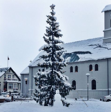 Reykjavik, Iceland. Snowman, Christmas tree, snowy. December 2015 Reykjavik Iceland, Snowman Christmas Tree, Snowman Christmas, Reykjavik, Iceland, Christmas Tree, Christmas