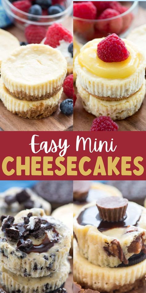 Mini Cheesecake Flavors, Mini Oreo Cheesecake Cupcakes, Best Mini Cheesecake Recipes, Mini Cheesecake Recipes Easy, Cheesecake Mini Cups, Individual Cheesecake Cups, Oreo Mini Cheesecake, Lemon Oreo Cheesecake, Easy Cheesecake Bites