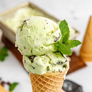 Mint Chocolate Chip Ice Cream two scoops in a sugar cone Easy Ice Cream Recipe Homemade, Homemade Ice Cream Recipe, Mint Chocolate Ice Cream, Easy Homemade Ice Cream, Mint Chip Ice Cream, Mint Chocolate Chip Ice Cream, Homemade Vanilla Ice Cream, Mint Ice Cream, Homemade Ice Cream Recipes