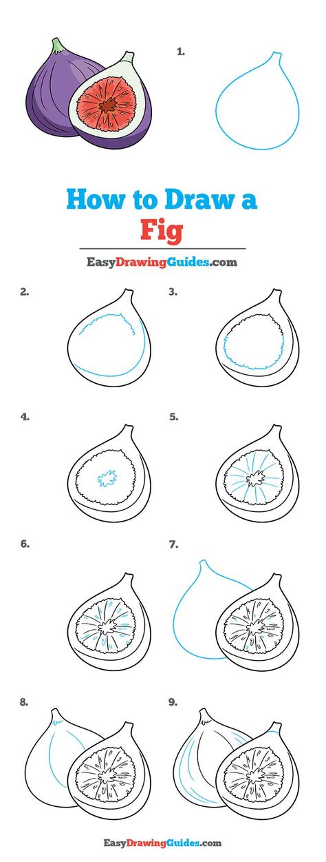 Fig Fruit Drawing, Fig Doodle, Fig Drawing Simple, Fig Painting, How To Draw Fruit, Fig Illustration, Fig Drawing, Children's Book Layout, Fruit Crafts