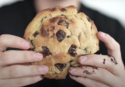 Nick Digiovanni, Big Chocolate Chip Cookies, Colored Cookies, Flakey Salt, Chocolate Chip Cookies Recipe, Scientific Articles, Malted Milk, Browned Butter, Perfect Cookie