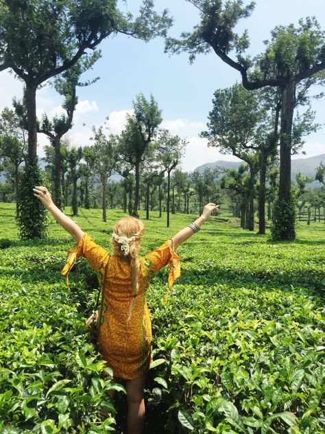 Tea Garden Poses, Ooty Trip, Garden Poses, Elegant Pose, Station Photo, Trip Photography, Tea Estate, Pic Poses, Honeymoon Tour