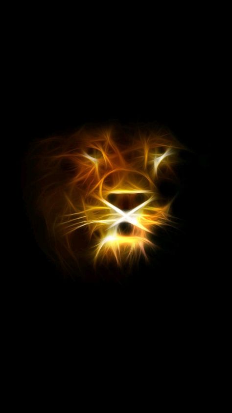 Gold Lion Wallpaper, Cute Lion Wallpaper, Lion Couple Wallpaper, Lion Wallpaper Hd 1080p, Angry Lion Wallpaper, Lion 4k Wallpaper, Wallpaper Iphone Lion, Lion Wallpaper Aesthetic, Lion Wallpaper Iphone