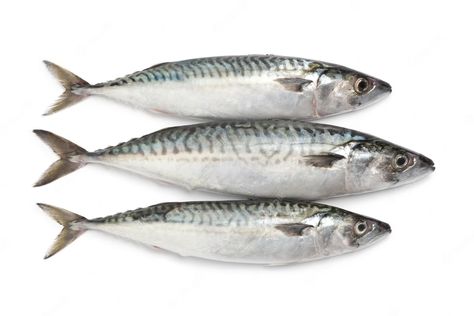 Premium Photo | Photo fresh raw whole mackerel fishes isolated on white background Fish Mounts, Mackerel Fish, Raw Fish, Still Life Photos, Nutrient Dense Food, Food Supply, White Meat, Workout Guide, Plant Food