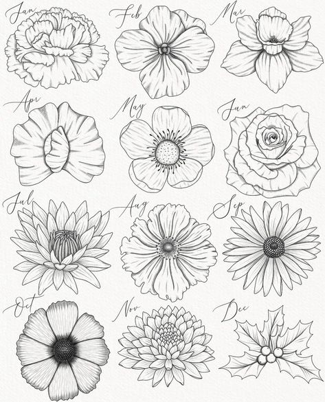 July And November Birth Flower Tattoo, March And October Birth Flower Tattoo, Succulent Sketches, Mum Flower Tattoo, September Tattoo Ideas, Birth Flower June, Fine Line Floral Tattoo Sleeve, February Flower Tattoo, August Birth Flower Tattoo