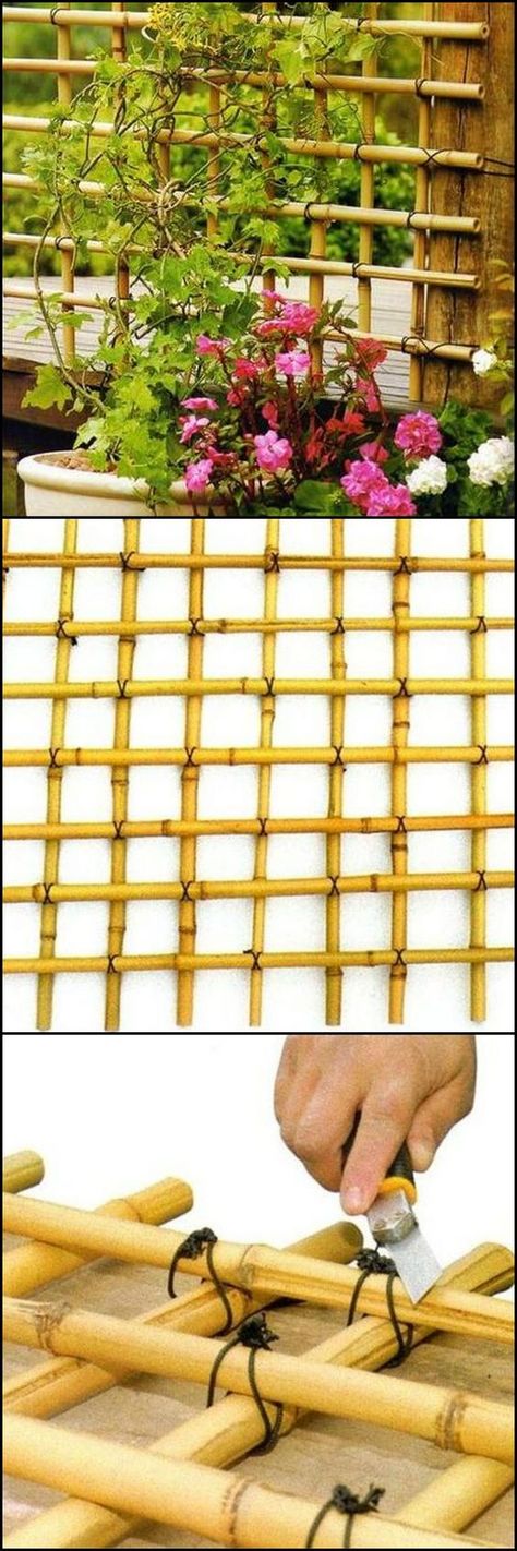 How To Build A Trellis From Bamboo http://theownerbuildernetwork.co/qd5u If there's a handmade trellis that perfectly fits any garden, this would be it. Why not make a trellis using bamboo!: Shrubs Shade, Squash Trellis, Garden Ground, Building A Trellis, Diy Bamboo, Garden Shade, Bamboo Diy, Pergola Diy, Hantverk Diy