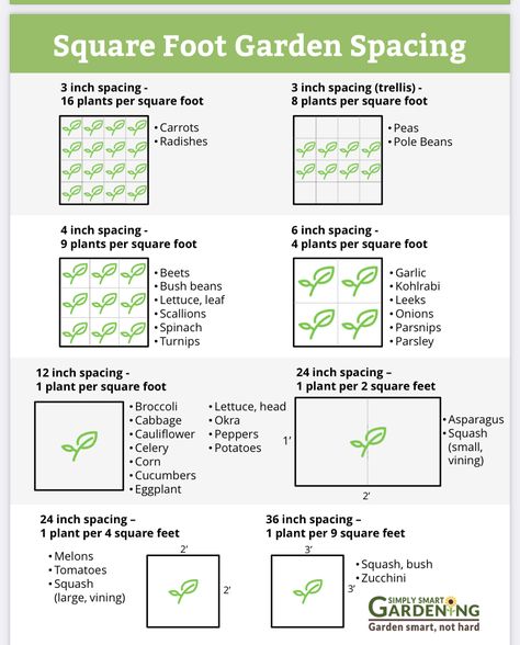 Garden Beds In Ground, Growing Bush Beans In Containers, Vegetable Garden Hacks, Bush Beans Growing, Growing Bush Beans, Garden Spacing, Square Foot Gardening Plans, Square Foot Garden, Vegetable Garden Planner