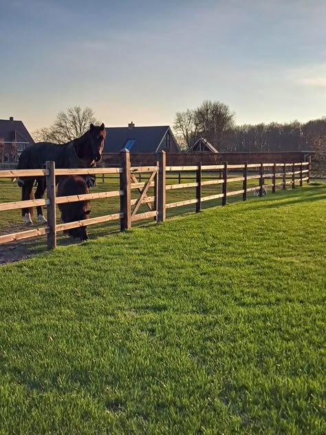 English Horse Stables, Country Side Homes, Modern Farmhouse Landscaping, Dream House Backyard, Old Money Core, Surfing Animals, Horse Yard, Horse Truck, Backyard With Pool