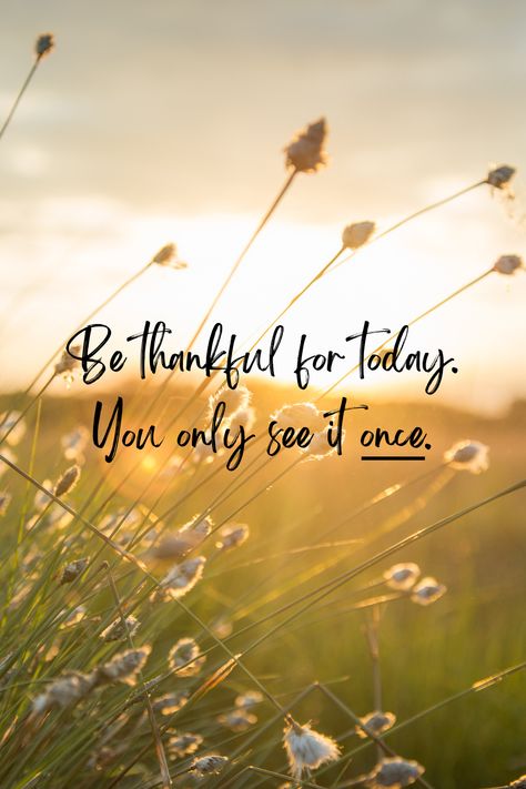 Friday Morning Quotes, Grateful Quotes, Thankful Quotes, Good Morning Sunshine Quotes, Sunshine Quotes, Today Quotes, Sunday Quotes, Its Friday Quotes, Friday Morning