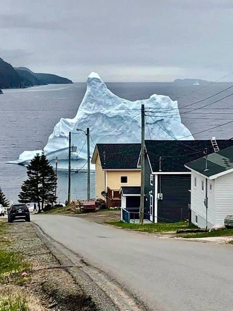 Newfoundland, Canada Newfoundland Canada, Adventure Aesthetic, I Want To Travel, Beautiful Places In The World, Newfoundland, Beautiful Places To Visit, Pretty Places, Travel Inspo, Oh The Places Youll Go