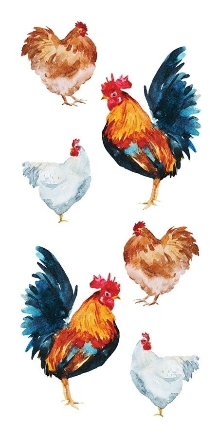 Watercolor Art Chicken, Watercolor Chickens And Roosters, Watercolor Chicken Paintings, Simple Chicken Painting, Cute Rooster Drawing, Watercolor Chickens Easy, Chickens Drawings, Cute Chicken Art, Chicken Doodle Drawing