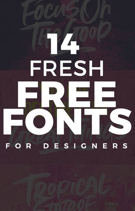 14 Fresh Free Fonts for Designers Best Free Fonts For Commercial Use, Best Typography Fonts, Trendy Free Fonts, Fonts For Flyers, Cool Fonts For Logos, Best Fonts For Logos, Free Typography Fonts, Modern Fonts Free, Business Fonts