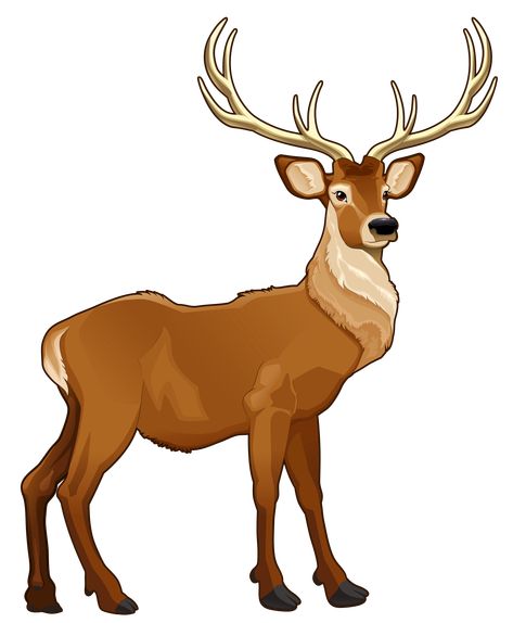 Christian Animation, Deer Drawings, Woods Animals, Dog Howling, Reindeer Drawing, Clip Art Kids, Drawing Reference Photos, Clip Art Animals, Deer Drawing