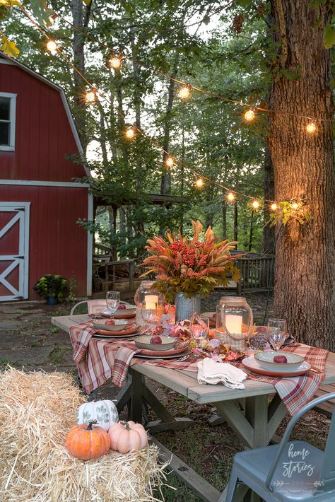 Fall Plaid Outdoor Harvest Tablescape Fall Harvest Party, Fall Picnic, Fall Dinner Party, Fall Entertaining, Fall Bridal Shower, Hay Bales, Fall Tablescapes, Fall Plaid, Fall Dinner