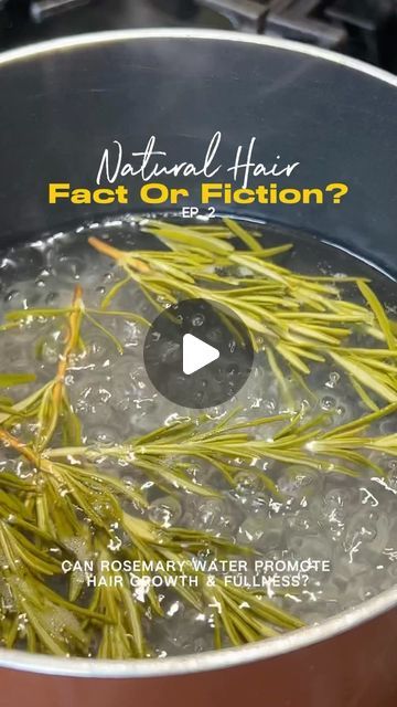 Kinzey Rae on Instagram: "It’s believed that rosemary water can help increase circulation to your scalp and promote hair growth! 🤩🌿

I’ll be testing this out for 30 days to see if my hair grows at a faster rate than normal. 

Things I used: 
• continuous spray bottle
• mini funnels
• a strainer
• a measuring cup
• 3 cups of distilled water
• organic rosemary 

Will you be trying this?

*Disclaimer* I am not a medical or hair professional. The content in this video is based off opinion and personal research and should not be considered as medical advice. 

#rosemarywater #rosemarywaterforhairgrowth #rosemarywaterforhair #hairgrowthtips #hairgrowth" Rose Marry Water For Hair Growth, Rosemary Spray For Hair Growth, Rosemary Hair Growth Spray, Rosemary Hair Spray, Hair Spray For Hair Growth, Rosemary Water For Hair Growth, Rosemary For Hair Growth, Turkey Chili Recipe Easy, Rosemary For Hair