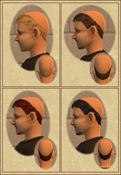 Mod The Sims - Monks Tonsure Haircut Monk Haircut, The Monks, Head Hair, Hair Gel, The Sims, Hair Cuts, Hair