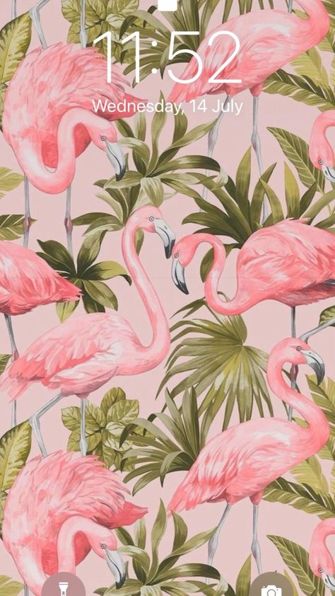 Flamingo Wallpaper Iphone, Iphone Wallpaper Butterfly, Pink N Green, Wallpaper Butterfly, Flamingo Wallpaper, Butterfly Wallpaper Iphone, Wallpaper Iphone Wallpaper, Iphone Backgrounds, Trendy Wallpaper