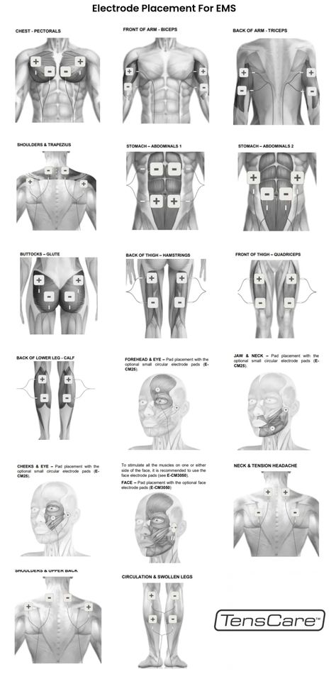 Ems Abs Stimulator, Electrode Placement Charts, Electronic Muscle Stimulators, Ems Electrode Placement Muscle, Tens Unit Placement Charts Shoulder, Tens Unit For Muscle Toning, Ems Placement Chart, Tens Pad Placement Chart, Ems Muscle Stimulation