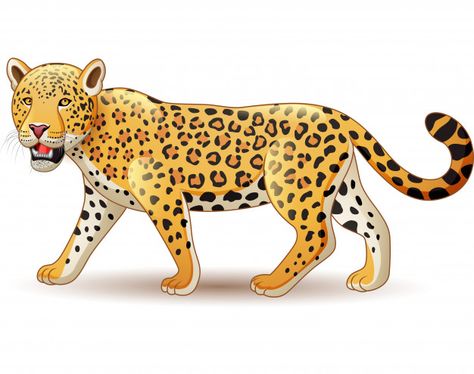 Cartoon Jaguar, Cheetah Cartoon, Leopard Cartoon, Cartoon Leopard, Cheetah Logo, Eagle Cartoon, Leopard Drawing, Leopard Print Background, Cute Panda Cartoon