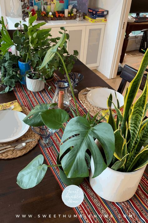 Plants Table, Centerpiece For Dining Table, Plant Centerpieces, Fun Planters, Table Centerpiece Flower, Indoor Plants Styling, Ladies Tea, Plant Styling, Decorative Plants