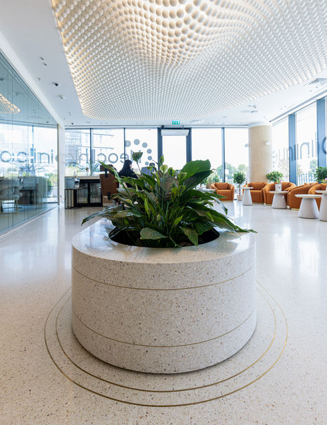 #terrazzo Undulating Ceiling, Textured Carpet, Stone Walls, Dental Clinic, Stone Wall, Lobby, Modern Design, Carpet, Ceiling