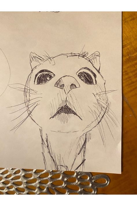 Easy Animal Sketches For Beginners, East Cat Drawing, Cat Sketches Aesthetic, How To Draw Cat Tutorial, Notebook Paper Drawings, Spidercat Drawing, Funky Art Sketches, Funny Animal Sketches, Silly Cat Painting