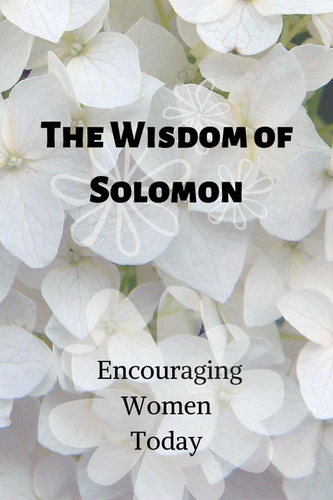 Scholars disagree about Solomon’s age when he became king, but Solomon’s own words in I Kings 3:7 indicate something to me.  When the LORD appeared to Solomon and told him to ask for whatever he wanted, Solomon called himself a “little child. #christian #christianliving #solomon #wisdom #encouraging #women #devo King Solomon Wisdom, Solomon Asks For Wisdom, Wisdom Images, Wisdom Of Solomon, Wisdom Symbol, Wisdom Tattoo, Wisdom Pictures, Solomon Wisdom, Wisdom Scripture