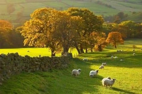 England Countryside, Free Soul, British Countryside, Yorkshire England, England And Scotland, English Countryside, North Yorkshire, Landscape Photos, Country Life