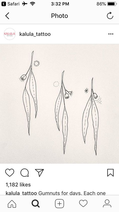 Tiny Eucalyptus Tattoo, Simple Australian Tattoo, Australian Eucalyptus Tattoo, Gumleaf Tattoo, Small Eucalyptus Tattoo, Fine Line Gum Leaf Tattoo, Gumtree Tattoos, Eucalyptus Flower Tattoo, Eucalyptus Leaf Tattoo