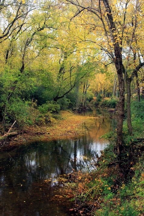 Uk Landscapes, After Rain, Autumn Scenes, After The Rain, Water Art, Autumn Scenery, Forest Art, Scenic Beauty, Walk In The Woods