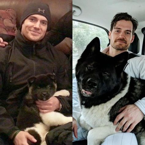 Henry Cavill and his dog, Kal Nutrition And Health, Geralt Of Rivia, All Hero, Henry Cavill, British Actors, The Witcher, Dog Names, Superman, Movie Tv