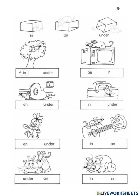 Prepositions online exercise for 1st Grade In And On Worksheets, Prepositions Kindergarten, Preposition Worksheets Kindergarten, Ingles Kids, Preposition Worksheets, English Prepositions, English Worksheets For Kindergarten, English Activities For Kids, Worksheets For Kindergarten