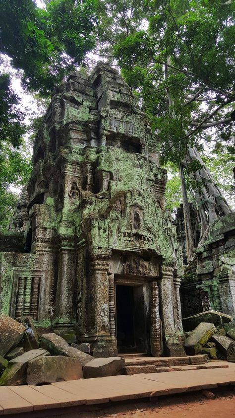 Jungle Architecture, Ancient Buildings Architecture, Jungle Temple, Ta Prohm, Sacred Groves, Temple Ruins, Ancient Technology, Stone Architecture, Ancient Buildings