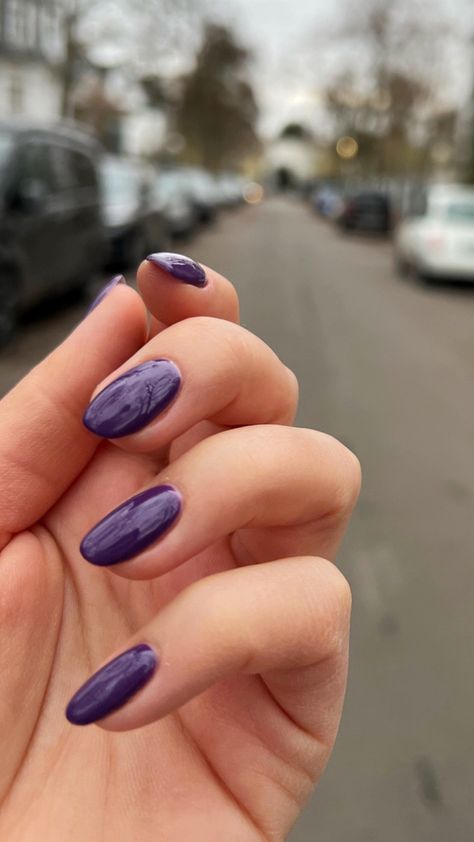 Dark nails purple bio sculpture Purple Nails Acrylic Fall, Dark Purple Round Nails, Deep Lilac Nails, Dark Purple Nails Ideas Almond, Dark Purple Oval Nails, Nails For A Dark Purple Dress, Dark Purple Blue Nails, Short Oval Purple Nails, Nail Inspo Dark Purple