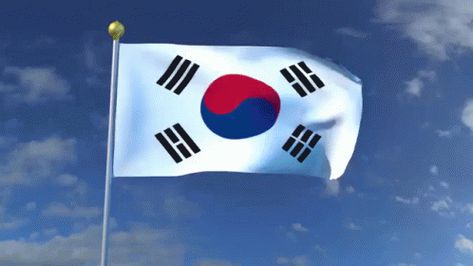 Flag With Name, Flag Gif, Korea Flag, South Korea Flag, Korean Flag, Flags With Names, Flags Of The World, South Korea, Gif