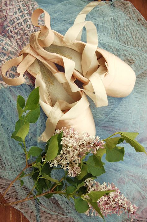 Wendy Campo Photography: dance Ballet Inspiration, Crazy Dog Lady, Photography Love, Pointe Shoes, Ballet Slippers, Bridal Photography, Crazy Dog, Green Wedding Shoes, Ballet Dancers