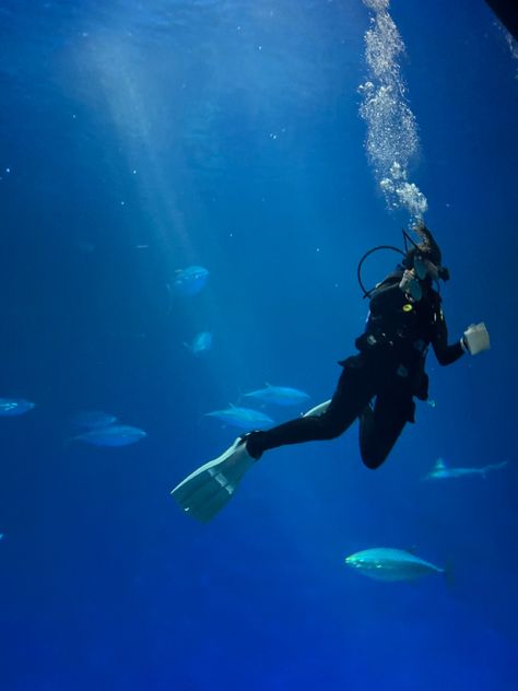 Aesthetic Scuba Diving Pictures, Scuba Diving Aesthetic, Marine Photography, Scuba Diving Pictures, Greek Islands Vacation, Vision Board Pics, Travel Infographic, Sailing Trips, Marine Biologist