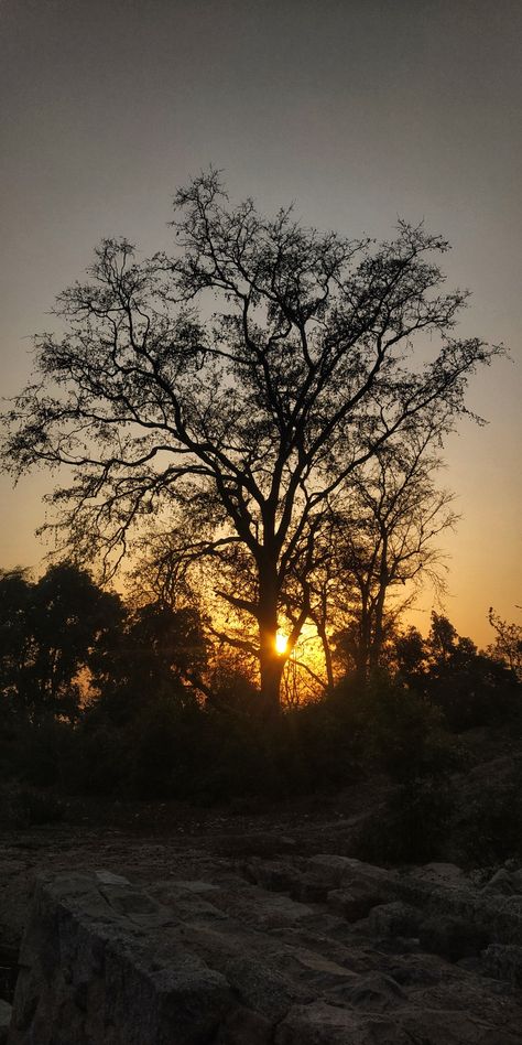 Indian Sunset, Tobi Obito, Sunshine Girl, Sky Photography Nature, Plant Aesthetic, Instagram Frame, Moon Flower, Natural Gifts, Photography Nature