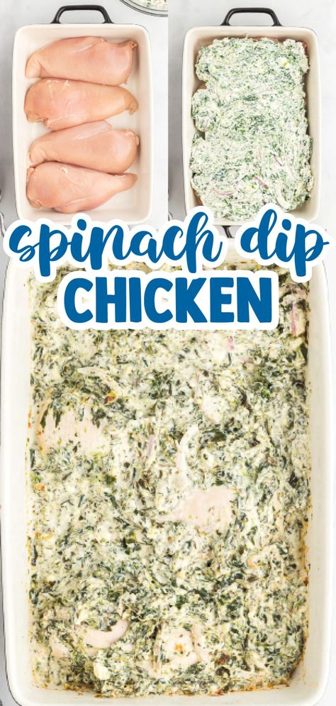 The Blogette, Spinach Dip Chicken, Creamy Baked Chicken, Bubble Pizza, Broccoli Cheese Casserole Recipe, Chicken Smothered, Cheese Casserole Recipes, Chicken Cordon Bleu Casserole, Broccoli Cheese Casserole