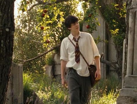 Caspian And Edmund, C.s. Lewis, Skandar Keynes, Narnia Prince Caspian, Edmund Pevensie, Prince Caspian, English Men, Women's Spurs, Window Films