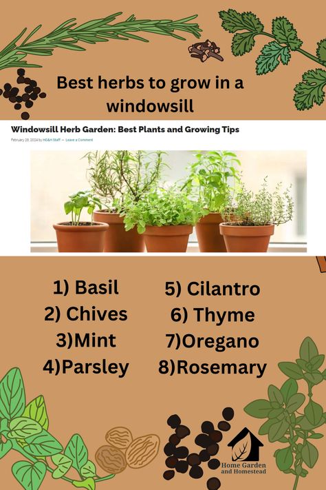 Growing a windowsill herb garden is an easy way to have fresh kitchen herbs right at your fingertips. Many herbs grow well in small pots and containers. They will thrive on a sunny windowsill in a kitchen or on a deck or patio. Patio Herbs In Pots, Diy Herb Garden Indoor Kitchen Windows, Window Sill Herbs, Plants In Windowsill, Kitchen Herbs Indoor, Kitchen Window Herbs, Bay Window Herb Garden, Indoor Herb Garden Window, Garden Window Kitchen