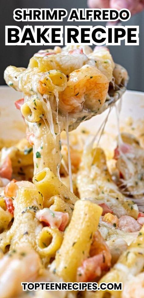 Shrimp Alfredo Bake Recipe - Top Recipes Baked Shrimp Alfredo, Shrimp Alfredo Bake, Alfredo Bake Recipe, Shrimp Pasta Bake, Shrimp Alfredo Pasta Recipes, Alfredo Pasta Bake, Shrimp Pasta Dishes, Seafood Alfredo, Shrimp Pasta Recipes Easy