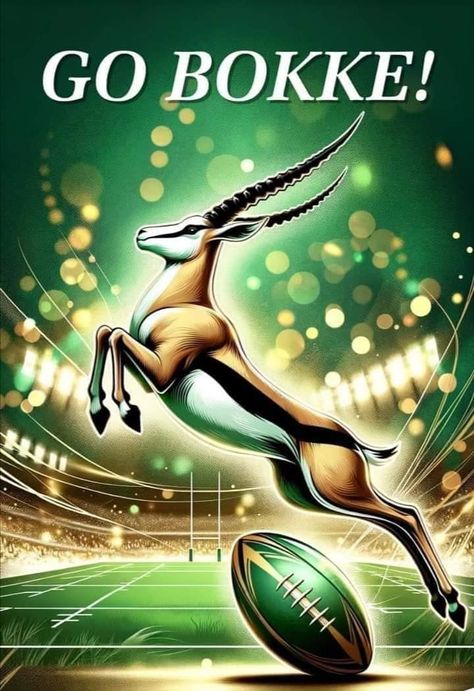 Springbok Rugby Wallpaper, Springboks Rugby South Africa, Rugby South Africa, South African Quote, Rugby Wallpaper, Springboks Rugby, Go Bokke, Rugby 7s, Cool Basketball Wallpapers