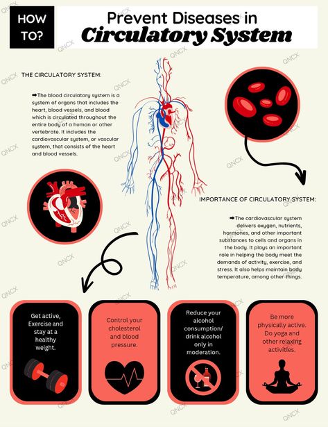 Digital Editing (Prevent Diseases in Circulatory System) Cardiovascular Disease Infographic, Diseases Of The Circulatory System, Circulatory System Diseases, Disease Infographic, Digital Editing, Magazine Cover Ideas, Medical Notes, Foot Reflexology Massage, Infographic Layout