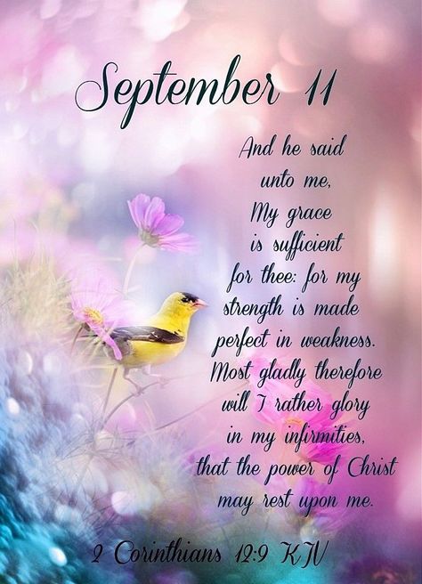 #18517 #September11 2020 #2Corinthians12v9 KJV #DailyBlessing www.facebook.com/Judiann.F September Birthday Quotes, September Quotes, Work For The Lord, Quote Pictures, Good Morning Happy Sunday, Happy September, Weekday Quotes, September Birthday, Blessed Quotes