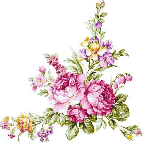 Flower Bunch, New Flower, Colorful Roses, Flower Art Images, Digital Flowers, Bunch Of Flowers, Arte Floral, Botanical Flowers, Floral Illustrations