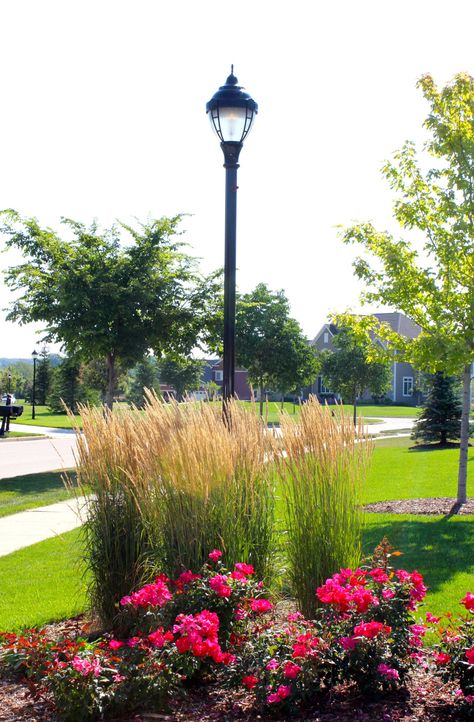 using tall grasses in landscaping Flag Pole Landscaping Front Yards, Landscaping With Grasses, Garden Beds Diy, Ornamental Grass Landscape, Landscaping Around Deck, Grass Landscaping, Raised Garden Beds Diy Vegetables, Evergreen Landscape, Beds Diy