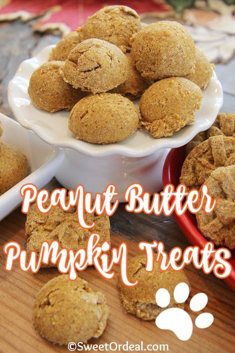 Dog Pumpkin Cookies, Peanut Butter Balls For Dogs, Dog Treat Icing Recipe, Puppy Snacks, Peanut Butter Pumpkin Dog Treats, Dog Treats Homemade Pumpkin, Critter Crafts, Peanut Butter Dog Biscuits, Pup Treats